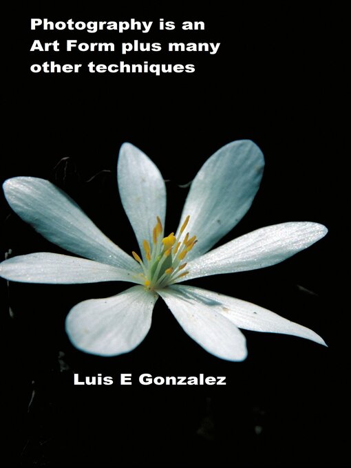 Title details for Photography is an Art Form by Luis Gonzalez - Available